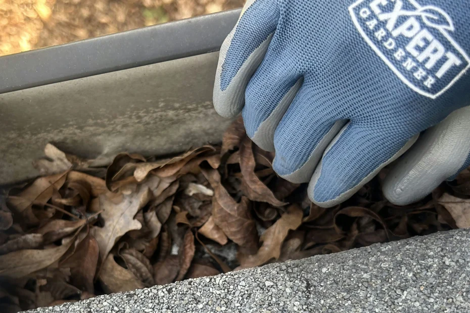 Gutter Cleaning Ladue, MO