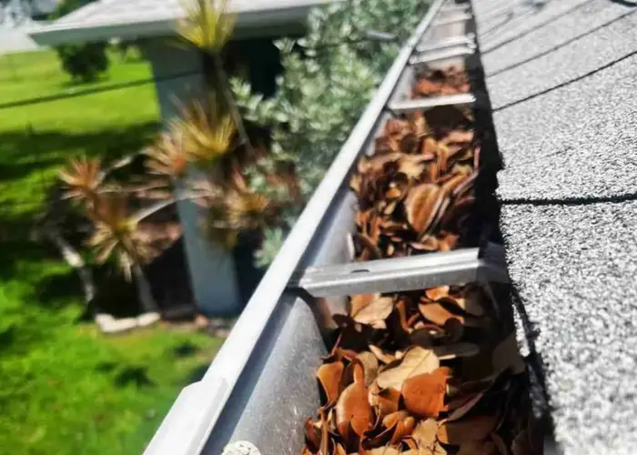 Gutter Cleaning Ladue, MO home page